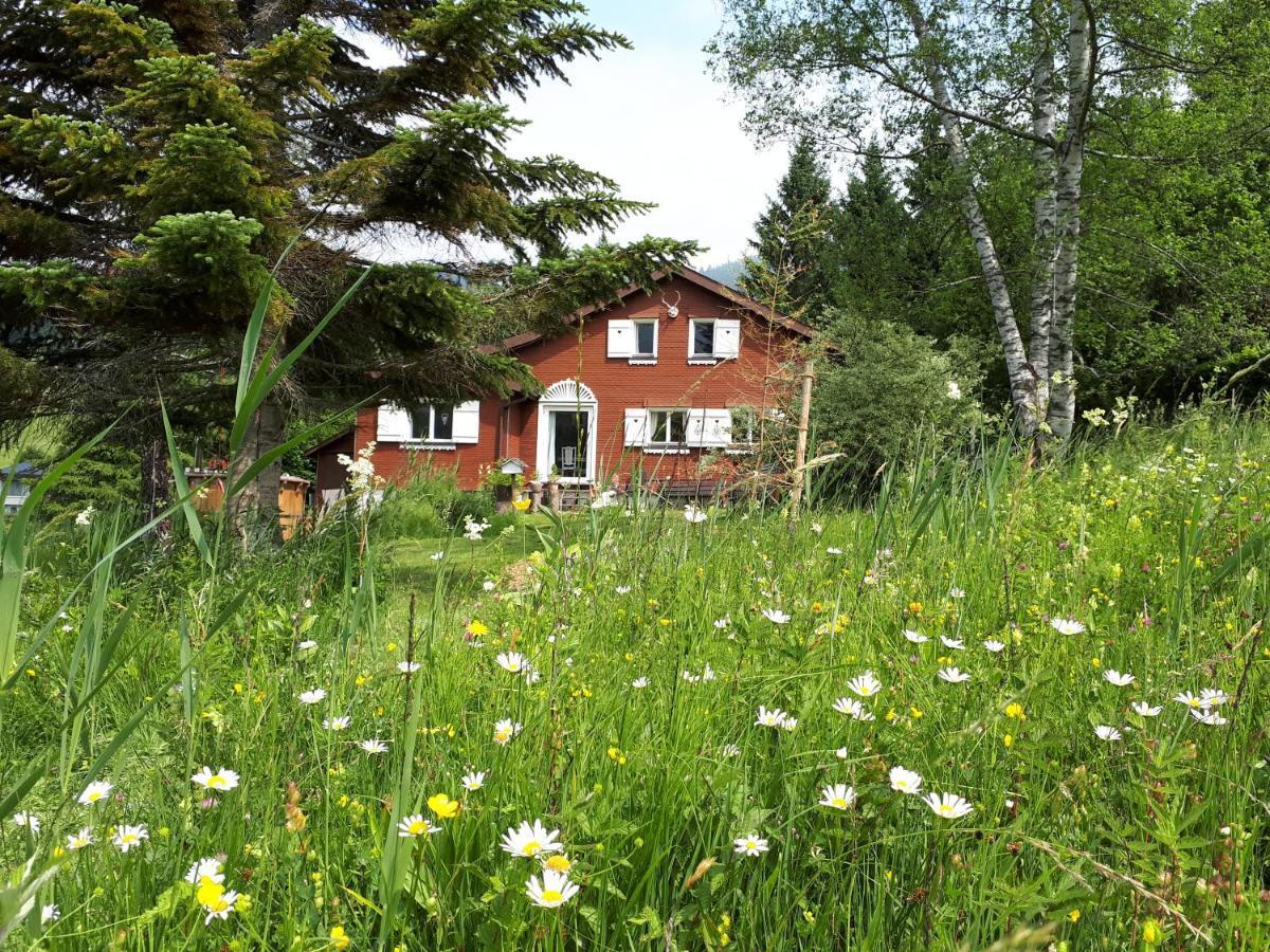 Chalet Chic Wildhaus Kültér fotó